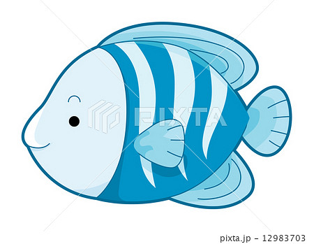 綺麗な魚 正面 イラスト すべての動物画像
