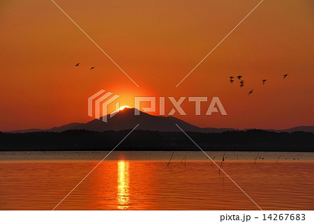 ダイヤモンド筑波山 涸沼 夕焼け 夕日の写真素材