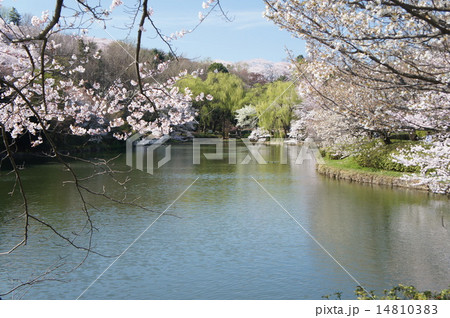 三ッ池公園の写真素材