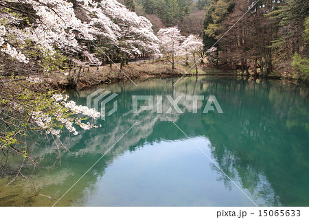 平出の泉の写真素材