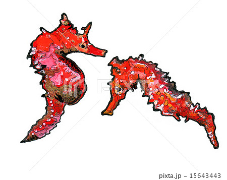 タツノオトシゴ 海の動物 辰 干支のイラスト素材