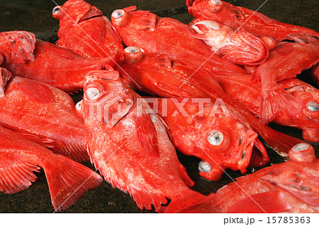 メヌケ 深海魚 魚 目抜けの写真素材