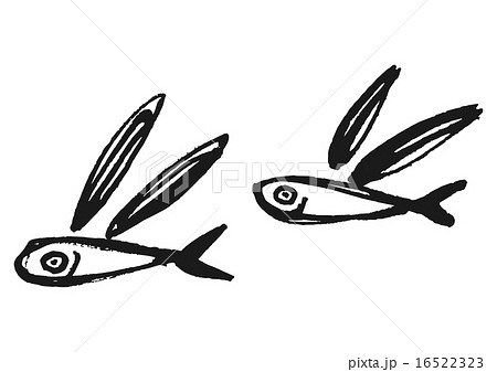 トビウオ アゴ 魚 飛魚のイラスト素材