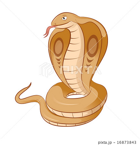 ヘビ 蛇 キングコブラ 描画の写真素材