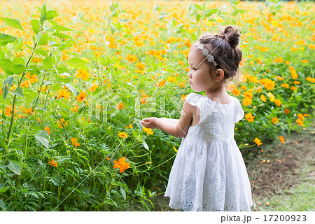 女の子 子供 花畑 外国人の写真素材
