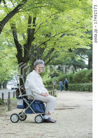 手押し車 シニア 並木道 女性の写真素材