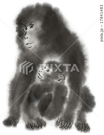 猿 申 水墨画 日本猿の写真素材 - PIXTA