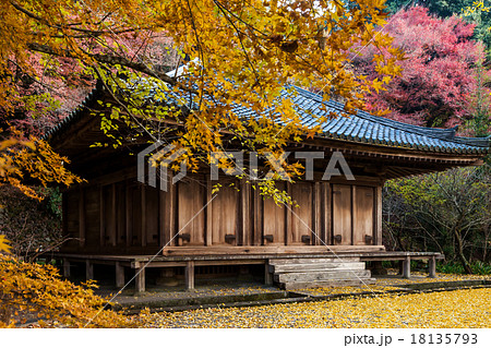 国宝 富貴寺 紅葉 銀杏の写真素材