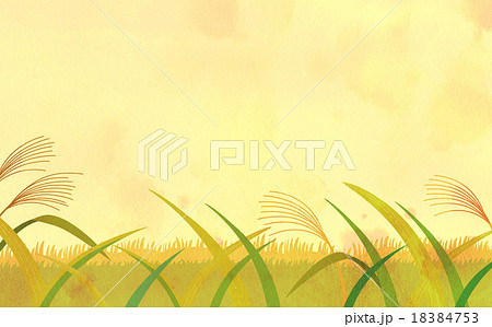 ススキ すすき 草むら 秋のイラスト素材 Pixta