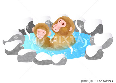 温泉の猿のイラスト素材