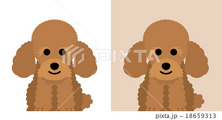 トイプードル イラストの写真素材