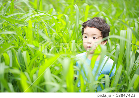 草っぱら 人物の写真素材