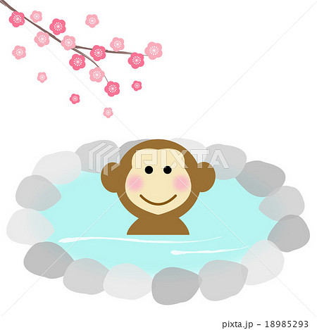 温泉 猿 露天風呂 入浴のイラスト素材