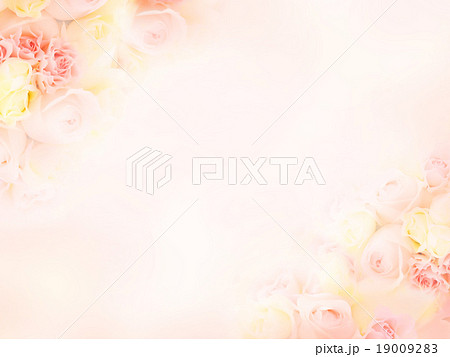 薔薇 花柄 背景素材 白のイラスト素材