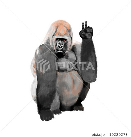 動物 猿 ピースサイン Vサインの写真素材