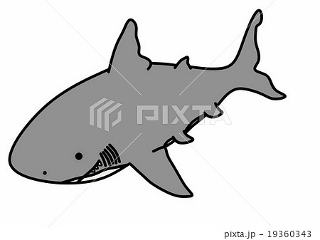 サメ イラスト デフォルメ 海の生き物の写真素材
