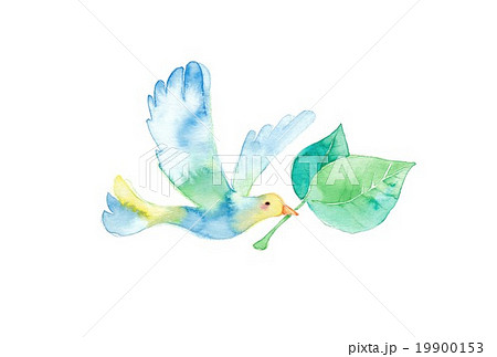 羽ばたく 青い鳥 小鳥 飛ぶのイラスト素材