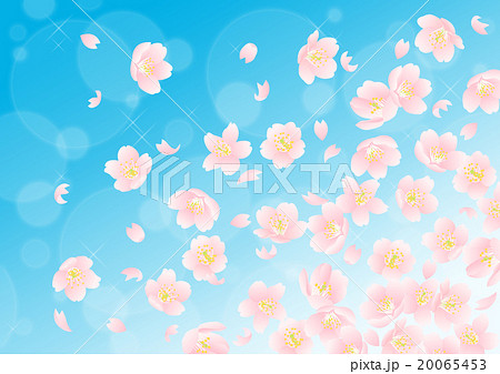 桜 花びら 散る 舞うのイラスト素材