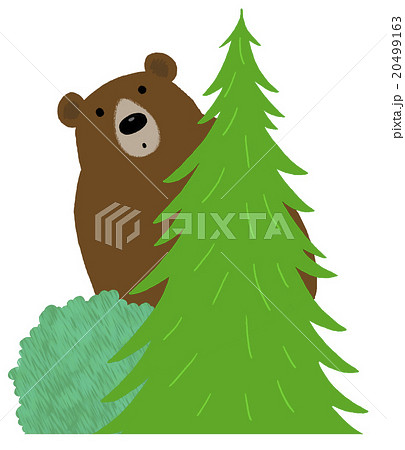 クマ 動物 のぞく 木のイラスト素材