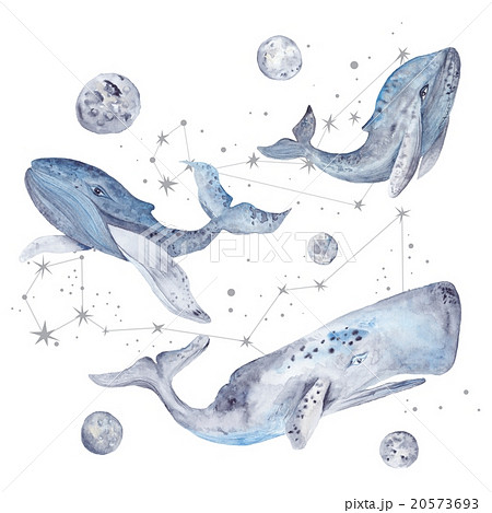 Watercolor Illustration With Whales And Starsのイラスト素材