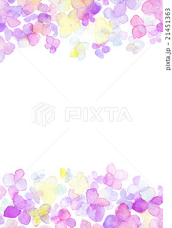 紫陽花 水彩 フレーム 枠のイラスト素材