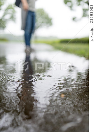 公園 雨 水たまり 雨天 反射の写真素材