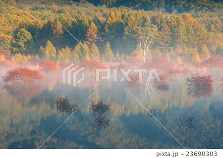 日光 風景 小田代ヶ原 貴婦人の写真素材 - PIXTA 日光 風景 小田代ヶ原 貴婦人の写真素材 - PIXTA