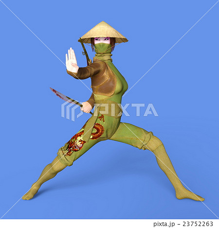 三度笠 イラストのイラスト素材