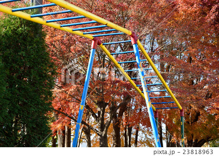 遊具 うんてい 黄色 公園の写真素材