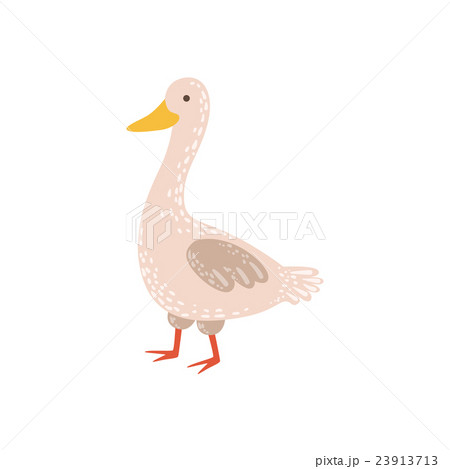 ベクター ガチョウ かわいい 明るいのイラスト素材