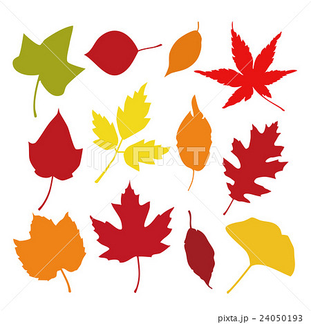 秋の葉 紅葉
