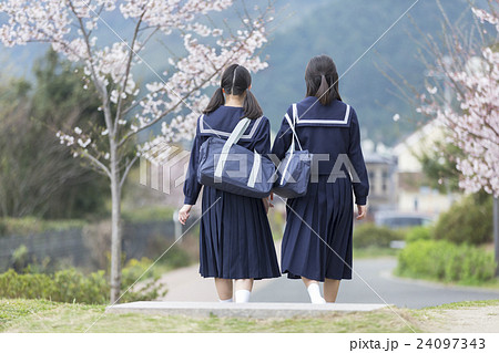 女の子 中学生 登下校 春の写真素材