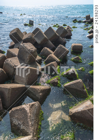 堤防 海藻 防波堤 ワカメの写真素材