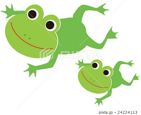 泳ぐ 両生類 キャラクター 蛙のイラスト素材
