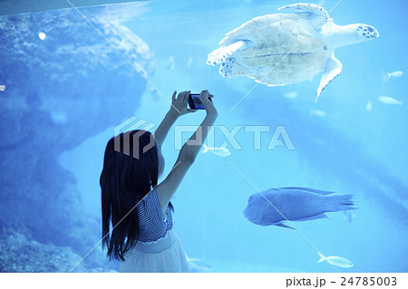 女の子 水族館 カメラ 人物の写真素材 Pixta