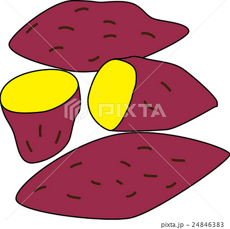 大学イモのイラスト素材