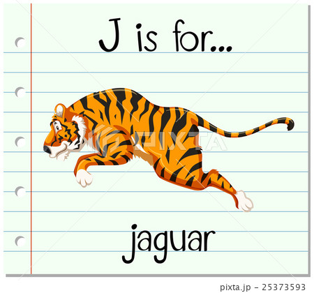 ジャガー 動物のイラスト素材