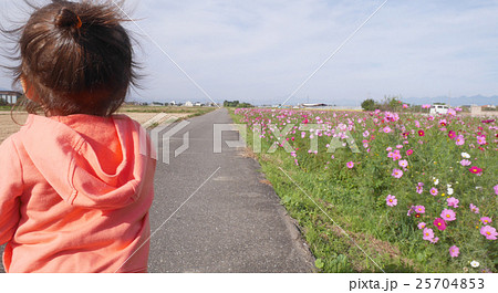 2歳児 後ろ姿 女の子 パーカーの写真素材