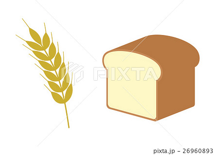穂 コムギ 小麦 麦のイラスト素材