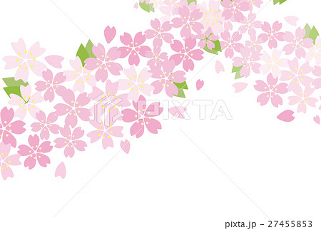 桜模様 桜柄 広がる 花柄のイラスト素材