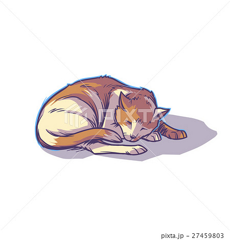 寝る 猫 動物 丸くなるの写真素材 Pixta