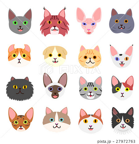 猫 顔 セット 種類のイラスト素材