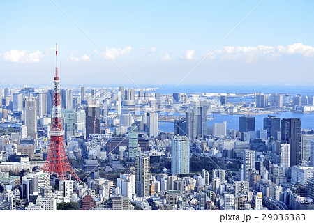 東京タワーの写真素材集 ピクスタ