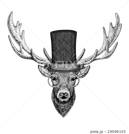 動物 クール かっこいい 冷たいのイラスト素材