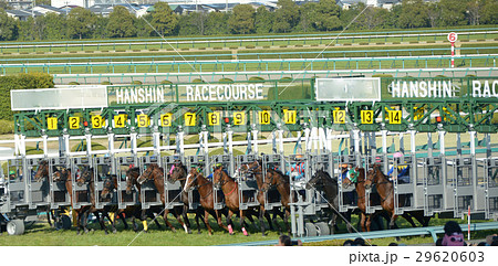 ゲート 競馬 勝負服 騎手の写真素材