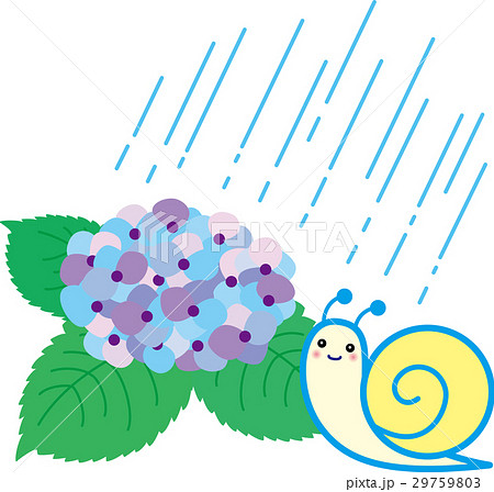 あじさい梅雨 かたつむり 雨のイラスト素材