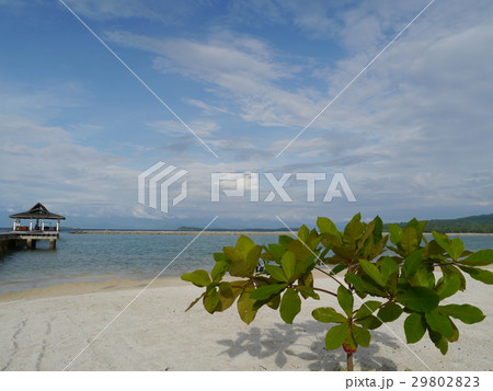 Secdea サマール島 サマル島 ビーチリゾートの写真素材