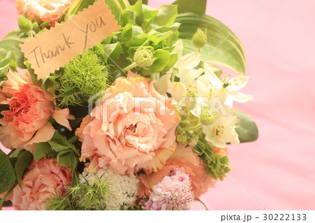 モルセラの写真素材 モルセラの写真素材