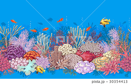 Reef Illustrations