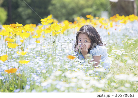 女の子 花畑 少女 子供の写真素材
